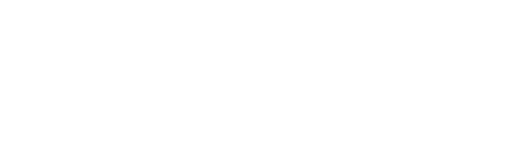 Condize